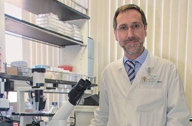 Antoni Ribas, oncólogo: «Hay muchos paralelismos entre la COVID y el cáncer»