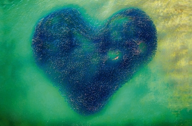 Las mejores fotos hechas con drones