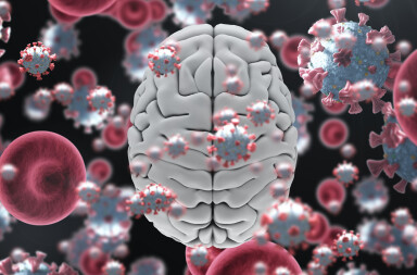 Una esperanza para el tumor más letal que existe