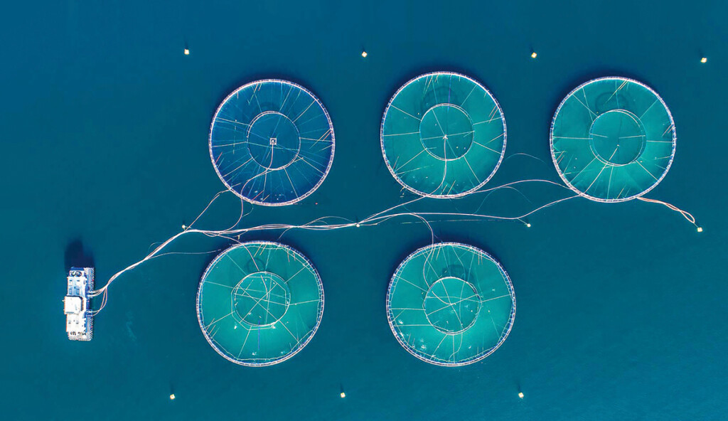 El milagro que esconde el océano profundo: ¿y si la solución a nuestros problemas estuviera bajo el agua? 7