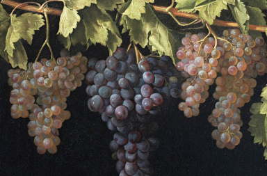 Tipos de uvas: ¿a qué huelen?