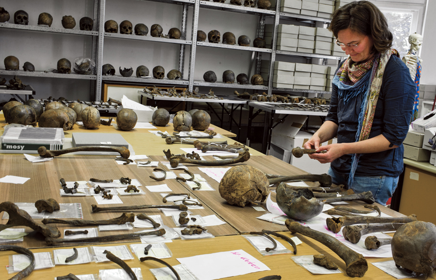 La verdadera guerra mundial 9