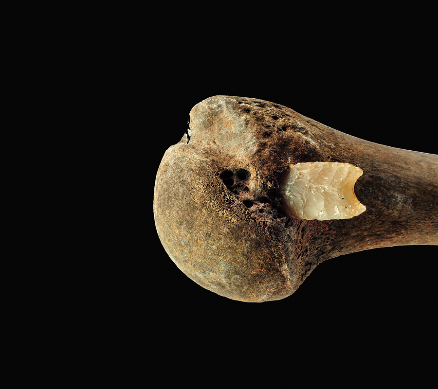 La verdadera guerra mundial 2