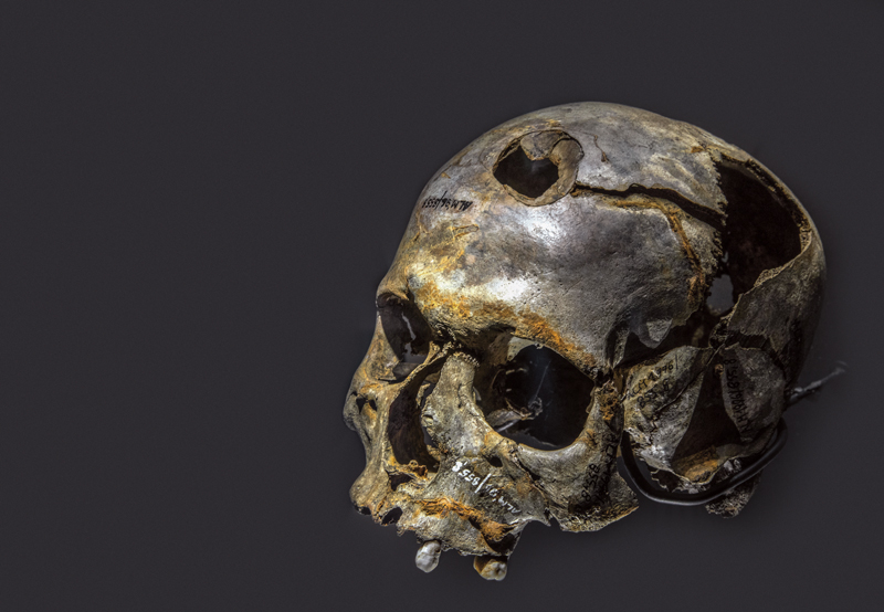 La verdadera guerra mundial 5