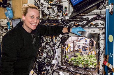 Primeros rábanos extraterrestres