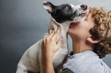 ¿Qué siente mi perro por mí?