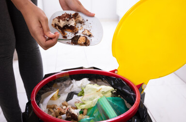 Desperdicio de comida: los datos que no se pueden digerir