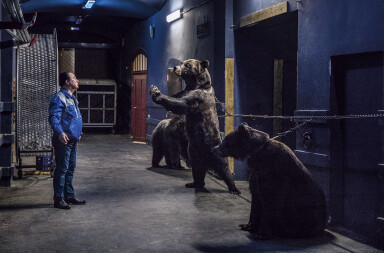 La fauna salvaje al borde del colapso