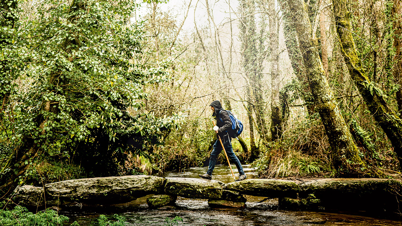 Camino de Santiago: peregrinos en el Año Xacobeo 2021-2022 contra viento y  pandemia