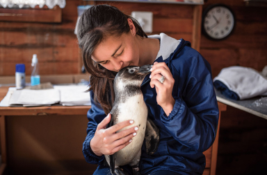Si salvamos los pingüinos, nos salvamos todos