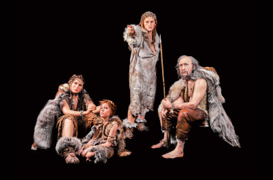 «El patriarcado es una anomalía en la historia de la humanidad»