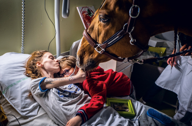 Este caballo detecta el cáncer