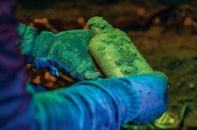 Semillas que ‘resucitan’ tras un siglo de letargo