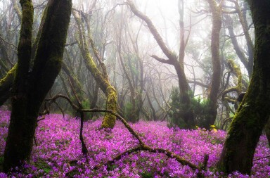 Los mejores destinos para el verano: cuatro paraísos en su punto