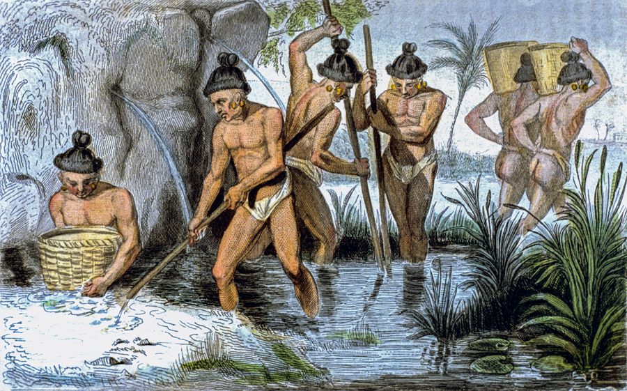 Juan Ponce de León, el descubrimiento de Estados Unidos 1