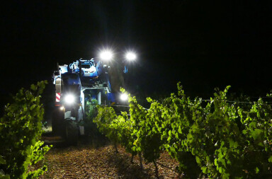 La vendimia, de noche y a máquina