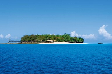 Las islas de los antivacunas